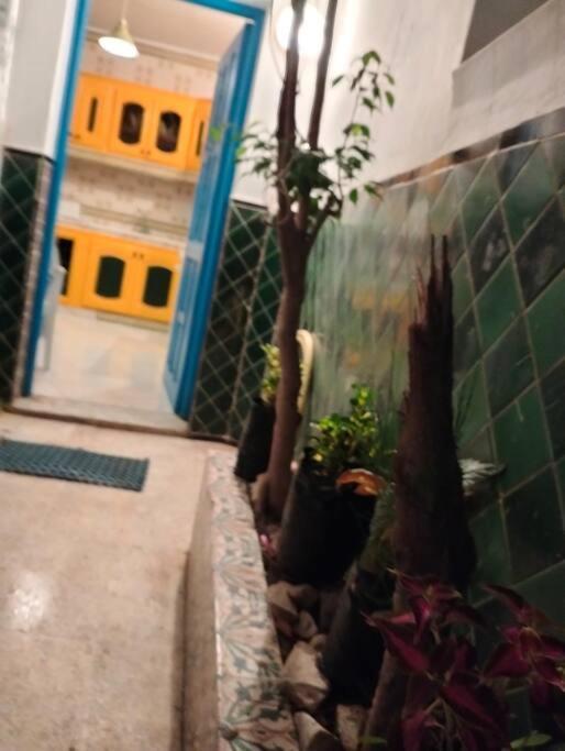 Coup De Coeur A Sidi Bou Said Villa Eksteriør bilde
